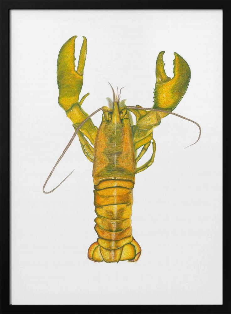 Hummer | Poster