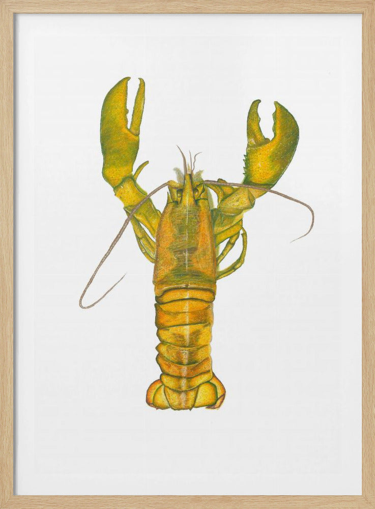 Hummer | Poster