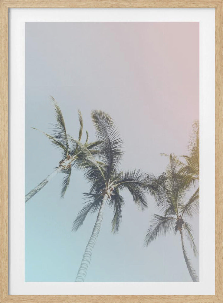 Pastell Palmen Glückseligkeit | Poster