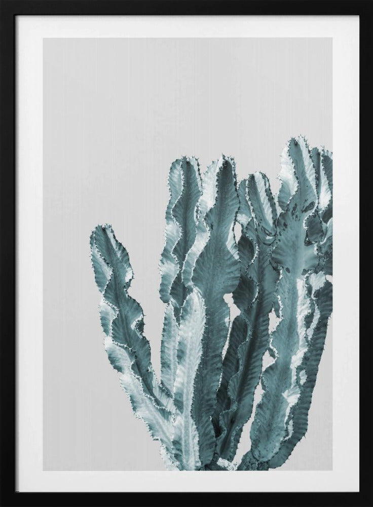 Cactus Elegance | Poster