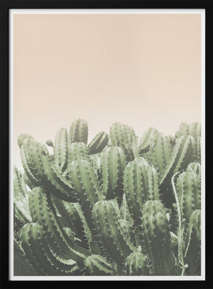 Umarmung der Wüste | Poster