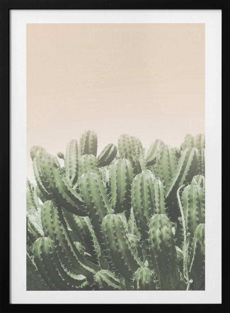 Umarmung der Wüste | Poster
