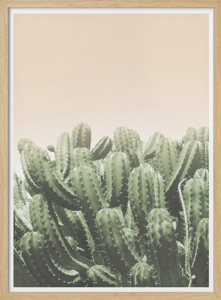 Umarmung der Wüste | Poster