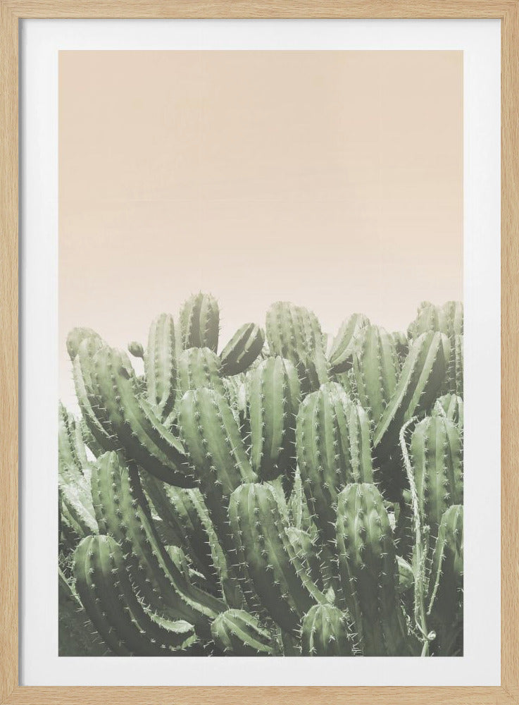 Umarmung der Wüste | Poster