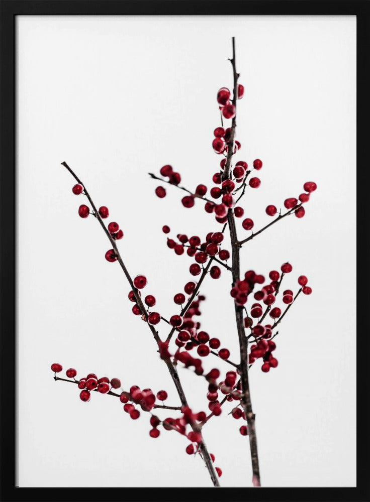Rote Beeren 2 | Poster