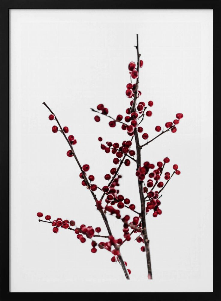 Rote Beeren 2 | Poster