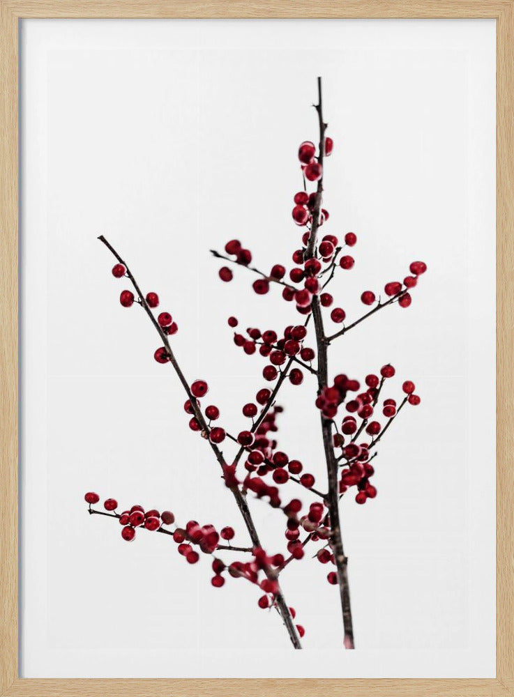 Rote Beeren 2 | Poster