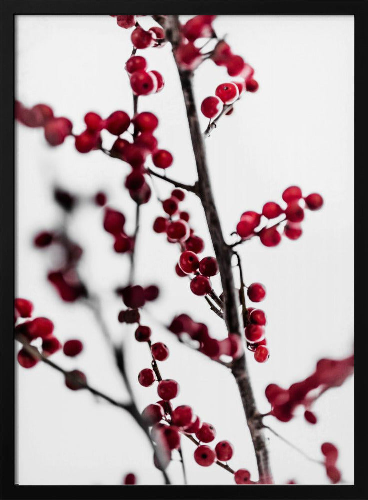 Rote Beeren 1 | Poster