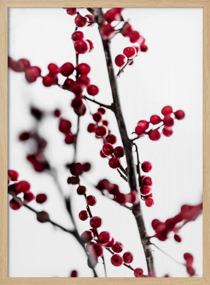Rote Beeren 1 | Poster
