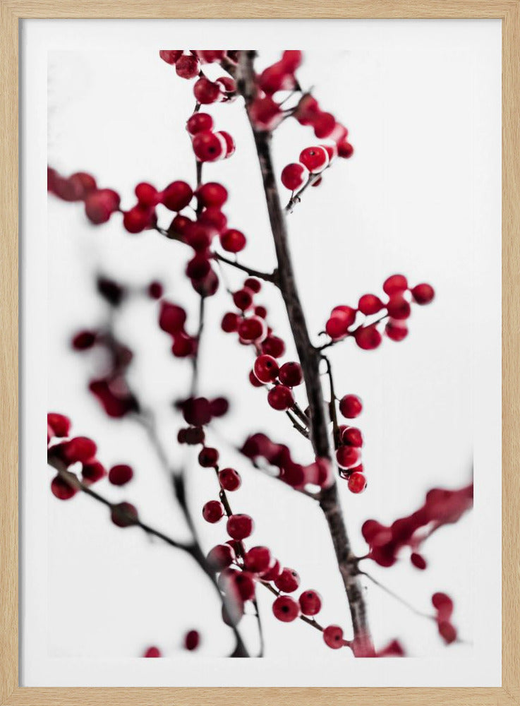 Rote Beeren 1 | Poster