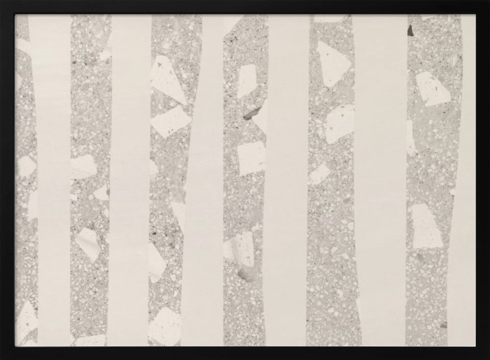 Birch Grove Shadows | Poster