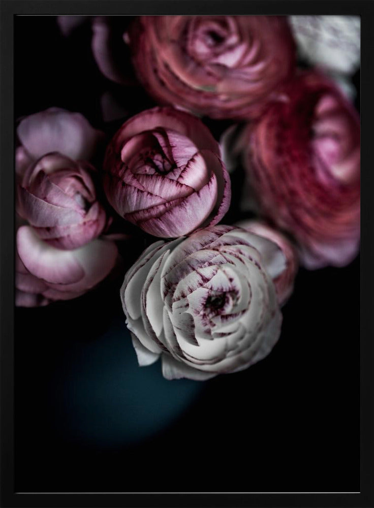 Dunkle Blumen 2 | Poster