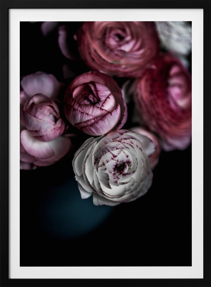 Dunkle Blumen 2 | Poster