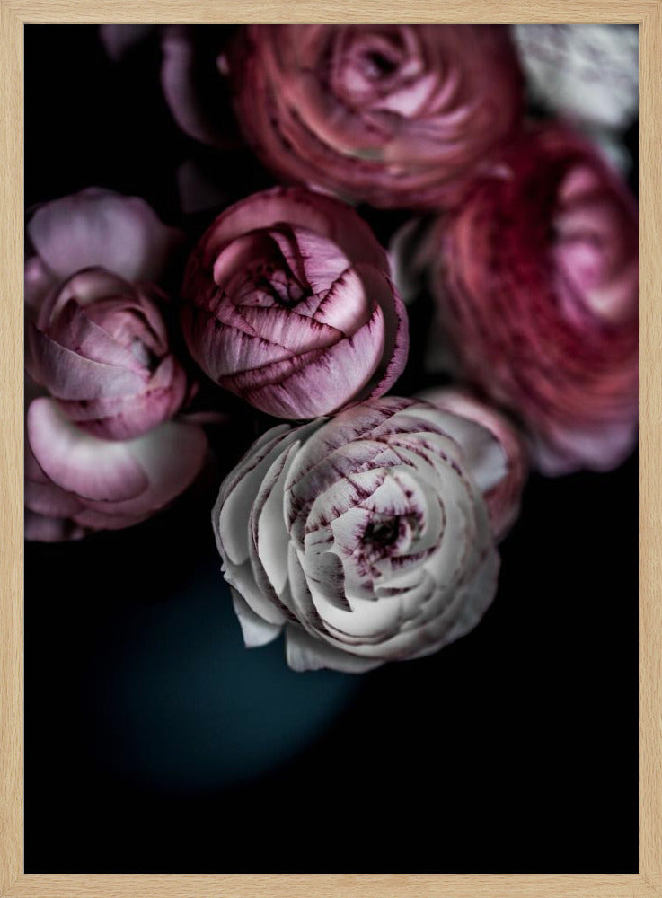 Dunkle Blumen 2 | Poster