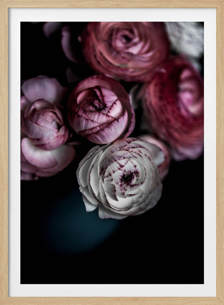 Dunkle Blumen 2 | Poster
