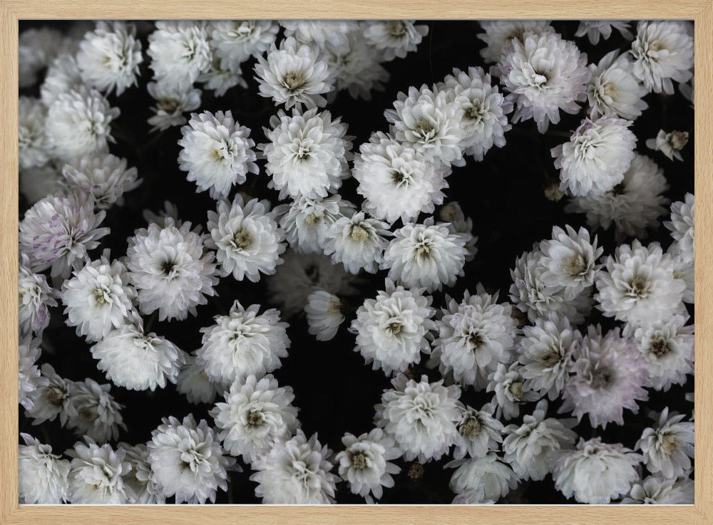 Winzige Blumen 3 | Poster