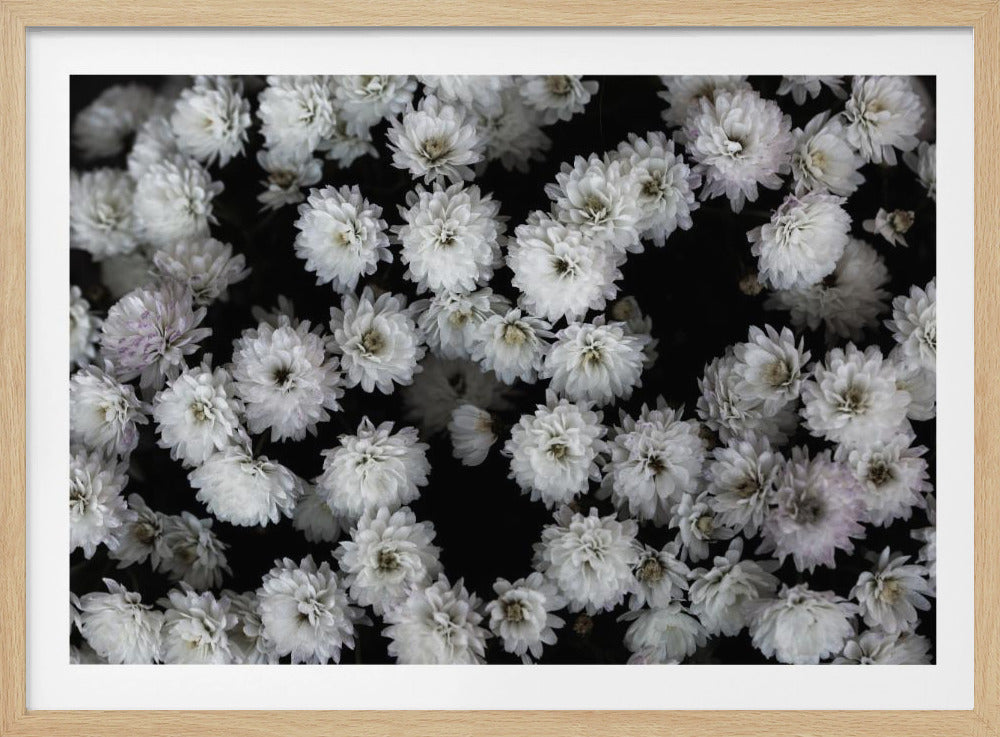 Winzige Blumen 3 | Poster