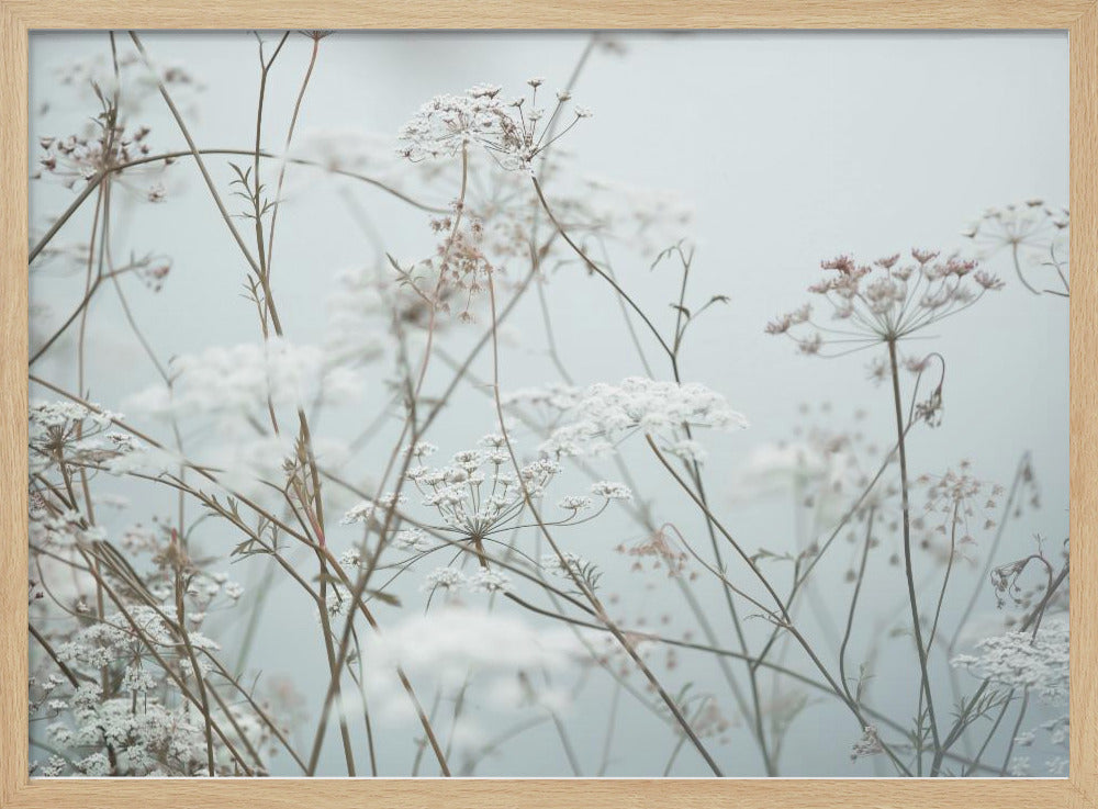 Sommermomente 12 | Poster