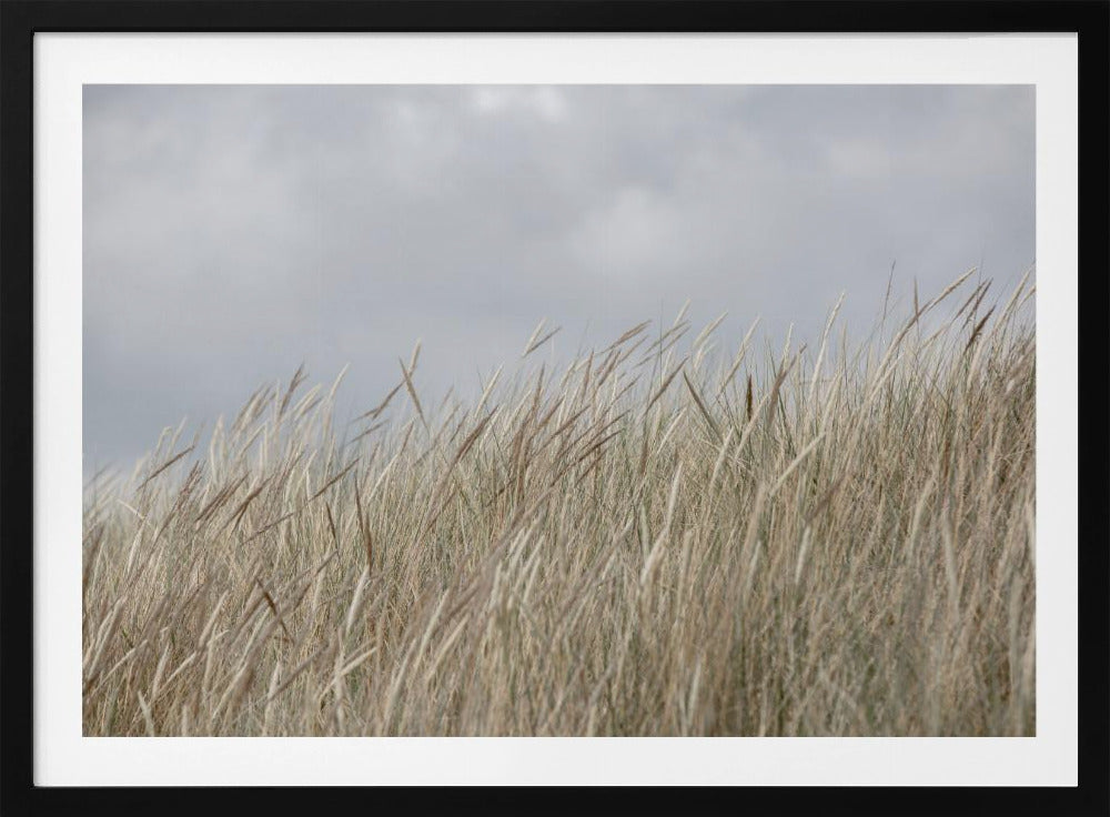Dunes and Clouds | Poster