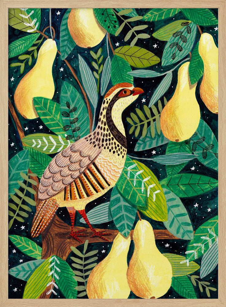 Rebhuhn im Birnbaum | Poster