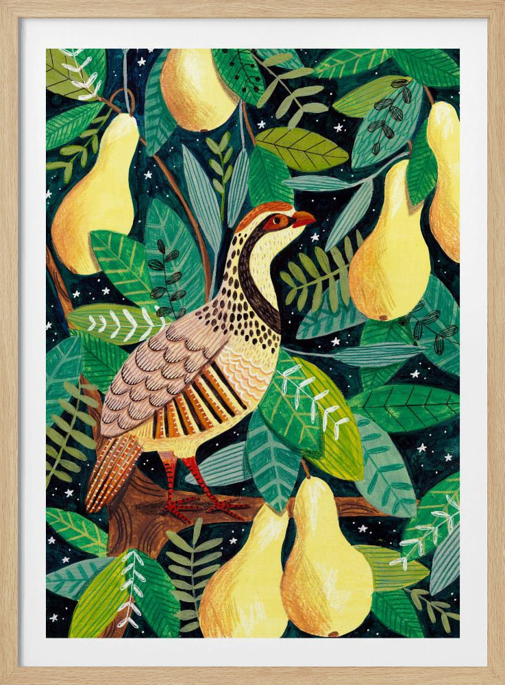 Rebhuhn im Birnbaum | Poster