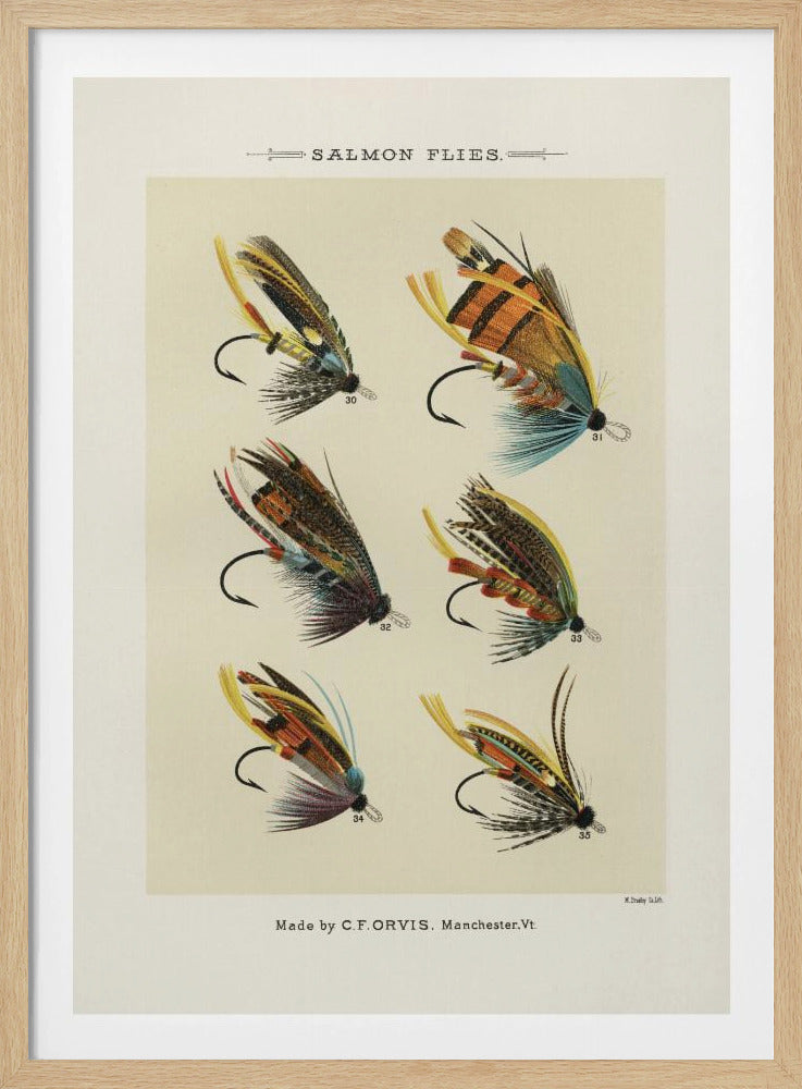 Salmon Fliee 1892 | Poster