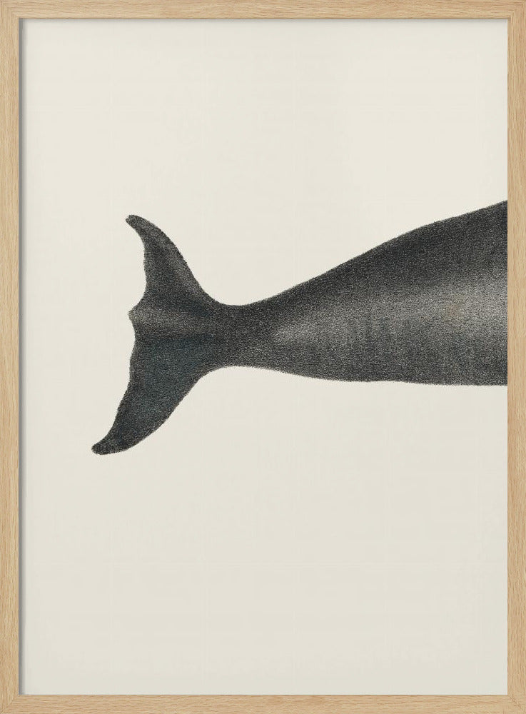 Wal-Cut I Handkolorierte Meeres-Lithographie 1824 | Poster