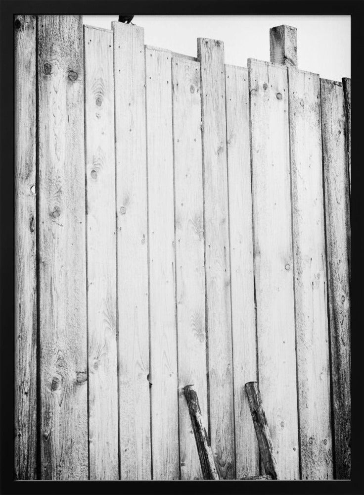 befreit | Poster