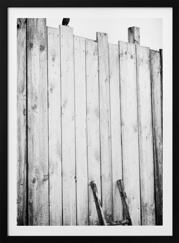 befreit | Poster