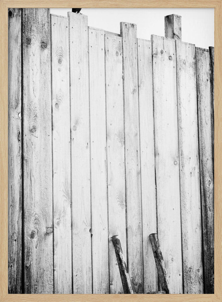 befreit | Poster