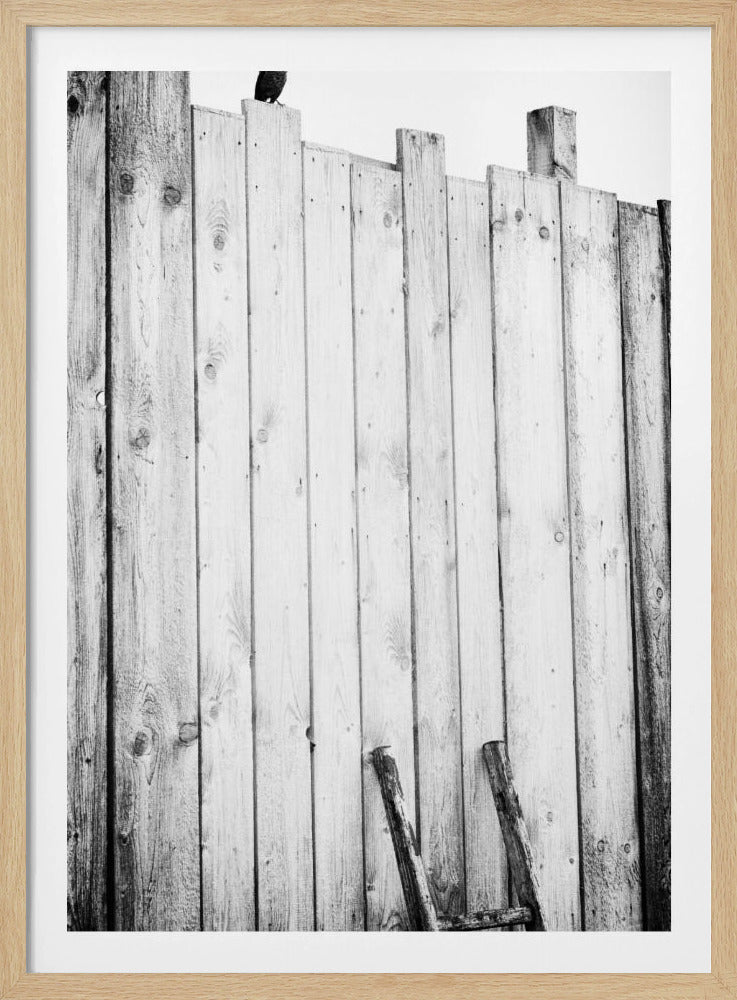 befreit | Poster