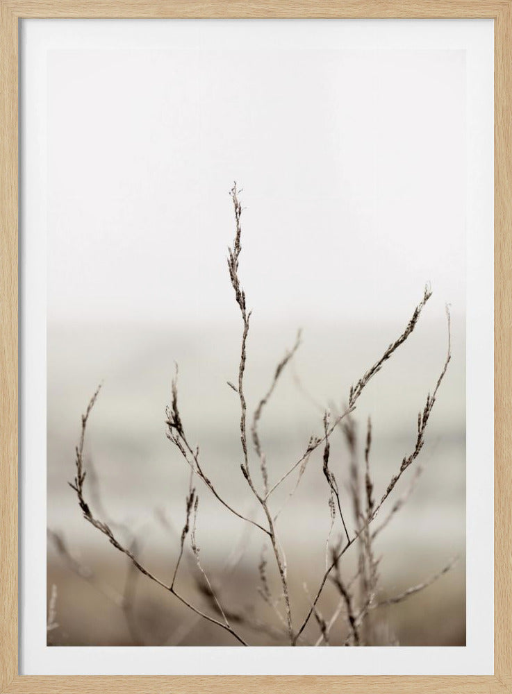 Pickleweed Nr. 1 | Poster