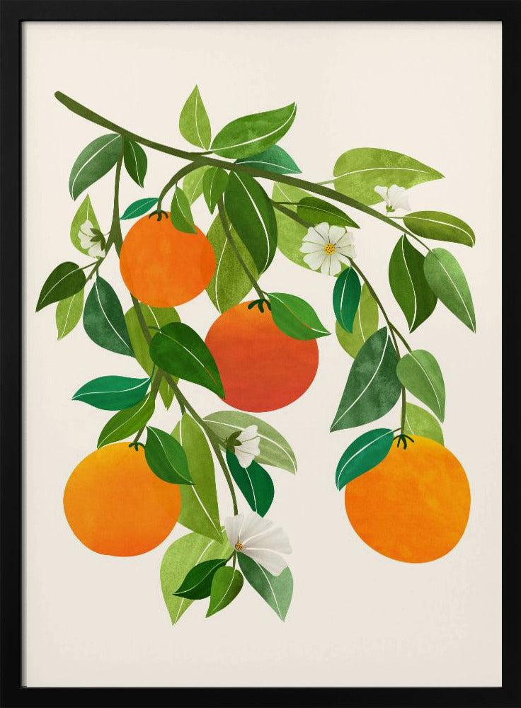 Orangen und Blüten II | Poster