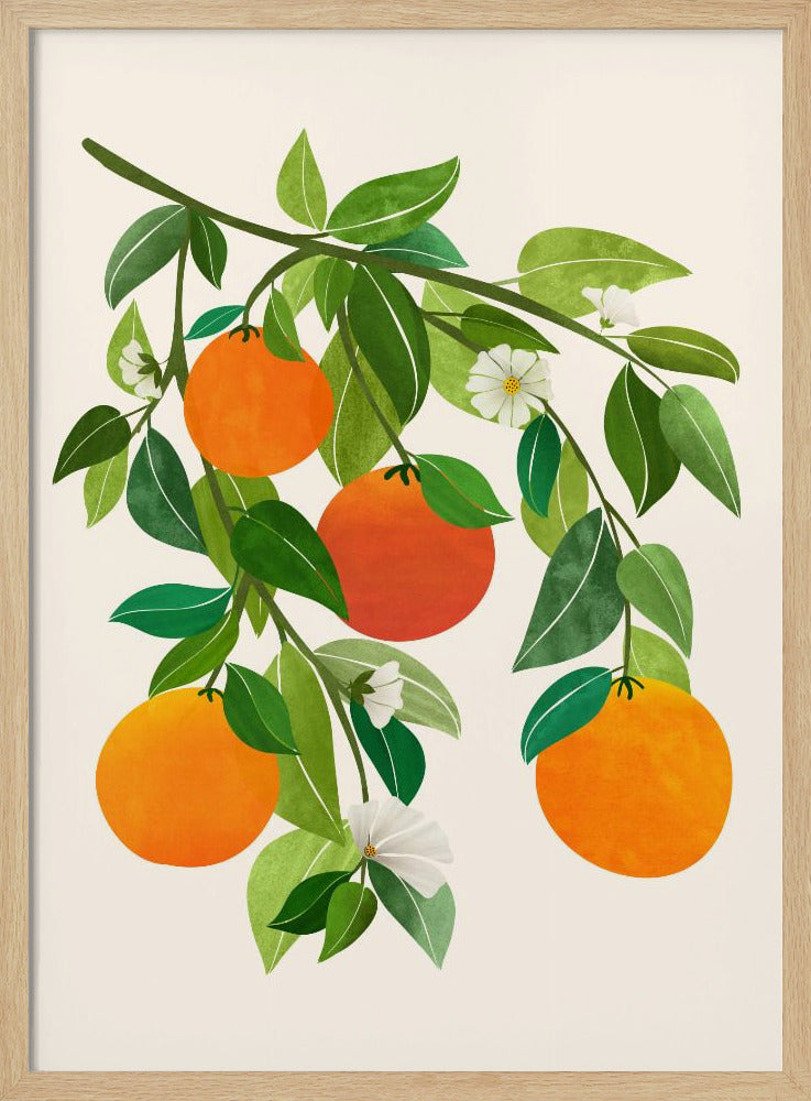 Orangen und Blüten II | Poster