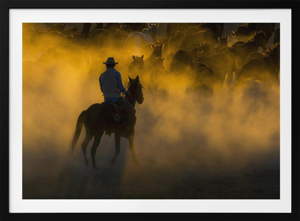 Cowboy und Pferde | Poster