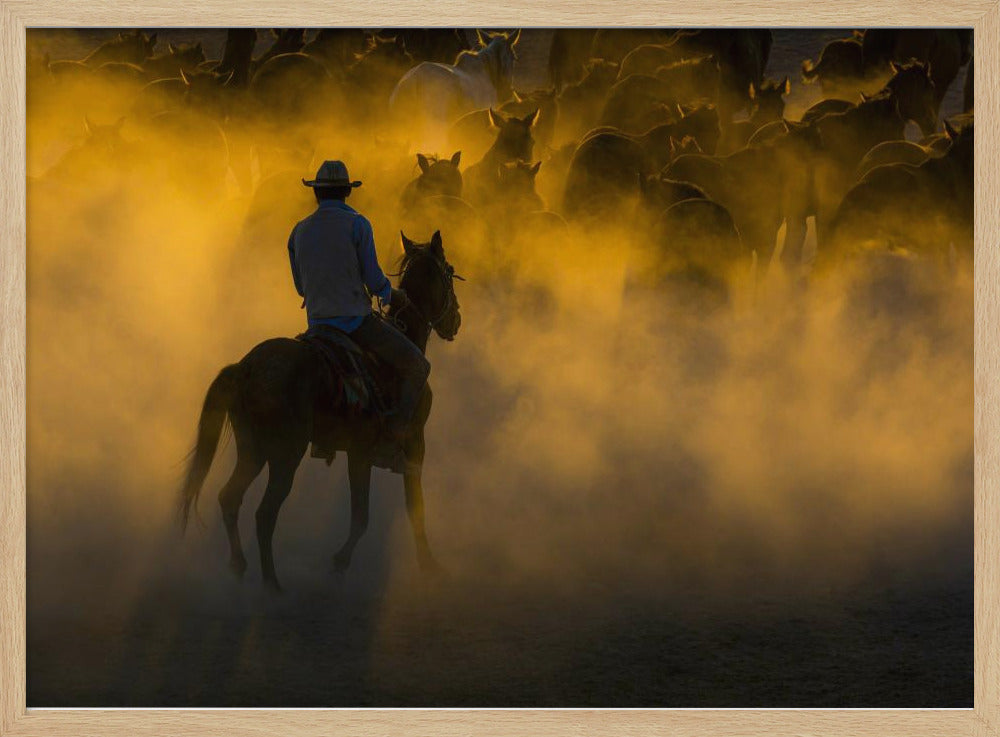 Cowboy und Pferde | Poster