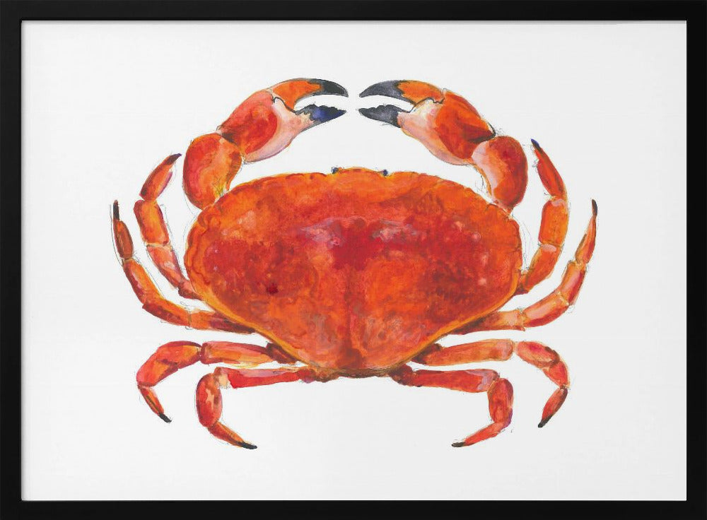 Realistic Red Crab | Poster