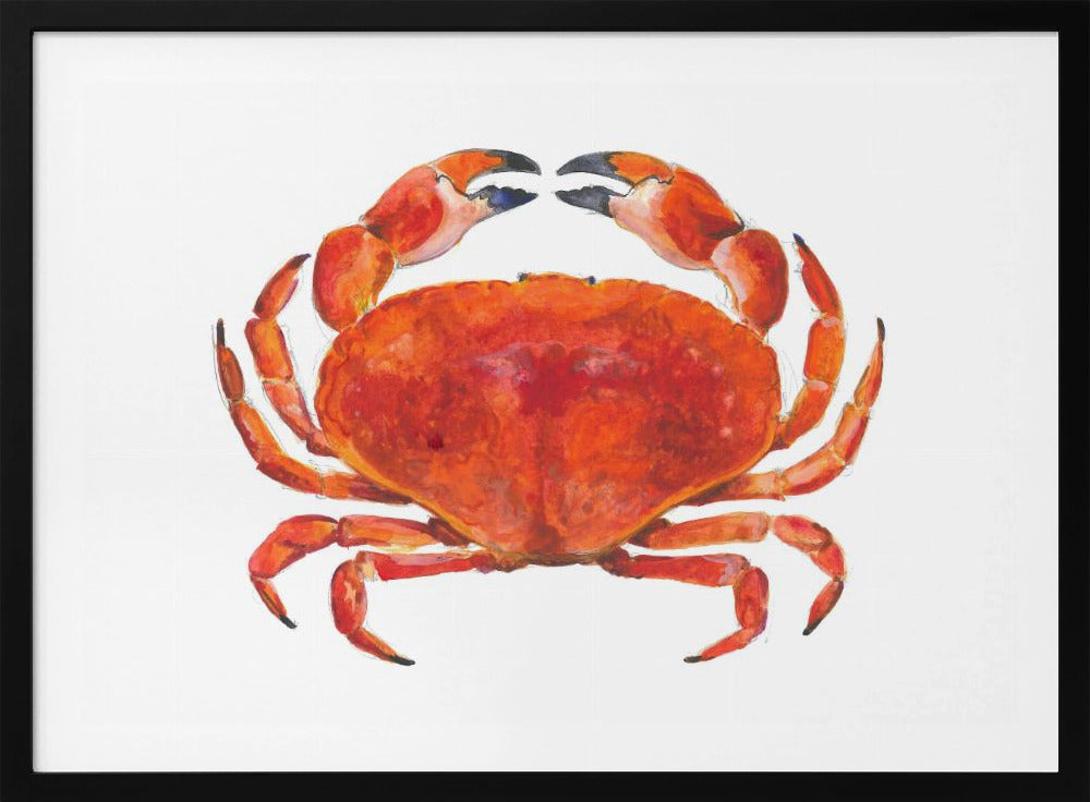 Realistic Red Crab | Poster