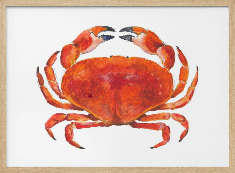 Realistic Red Crab | Poster