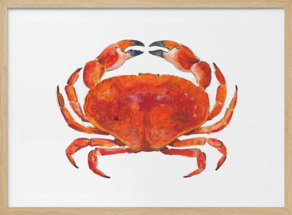Realistic Red Crab | Poster