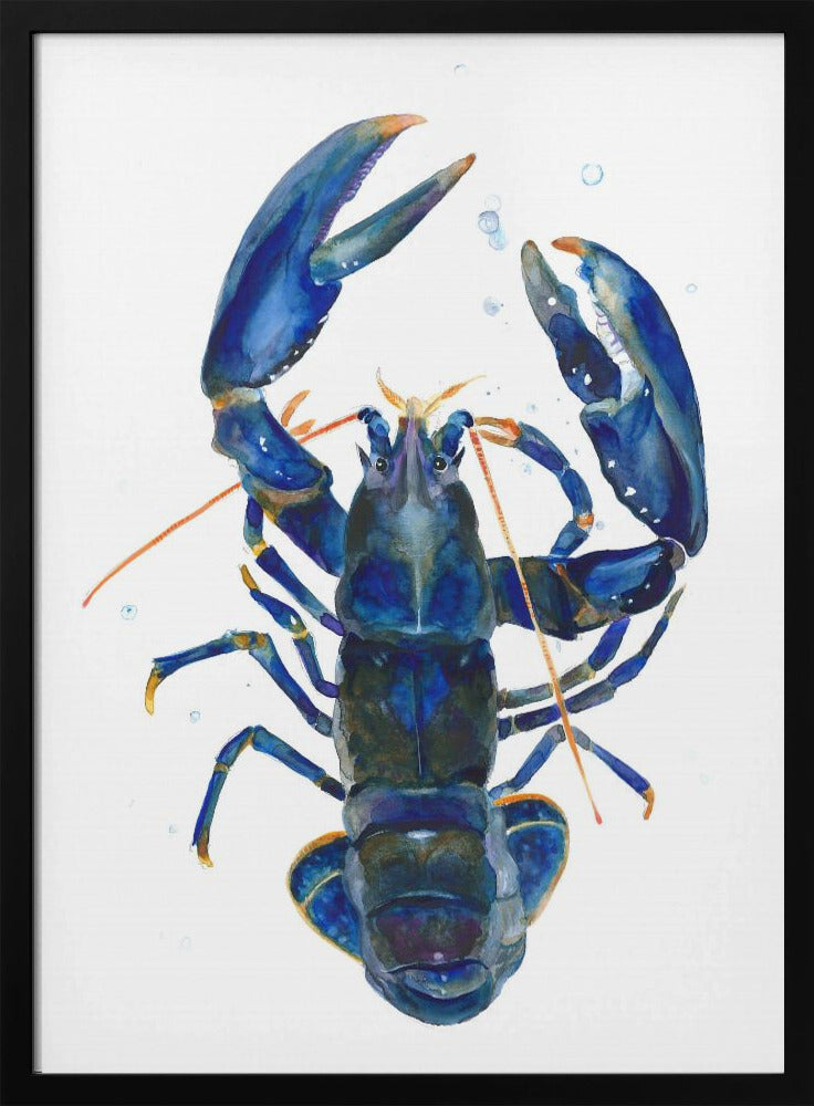 A Blue Lobster | Poster
