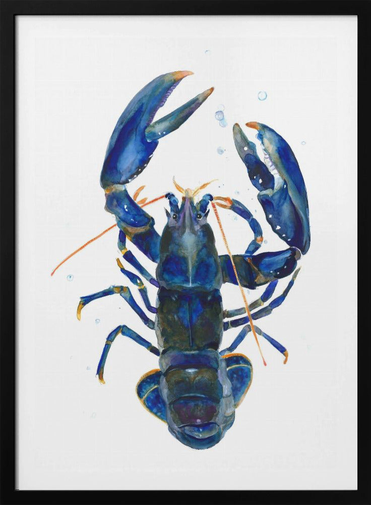 A Blue Lobster | Poster