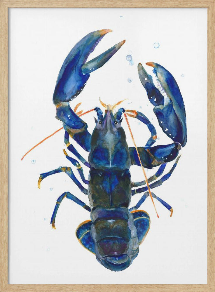 A Blue Lobster | Poster
