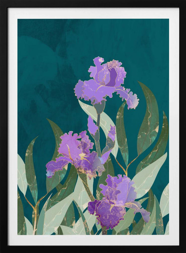 Irisblume Türkis | Poster