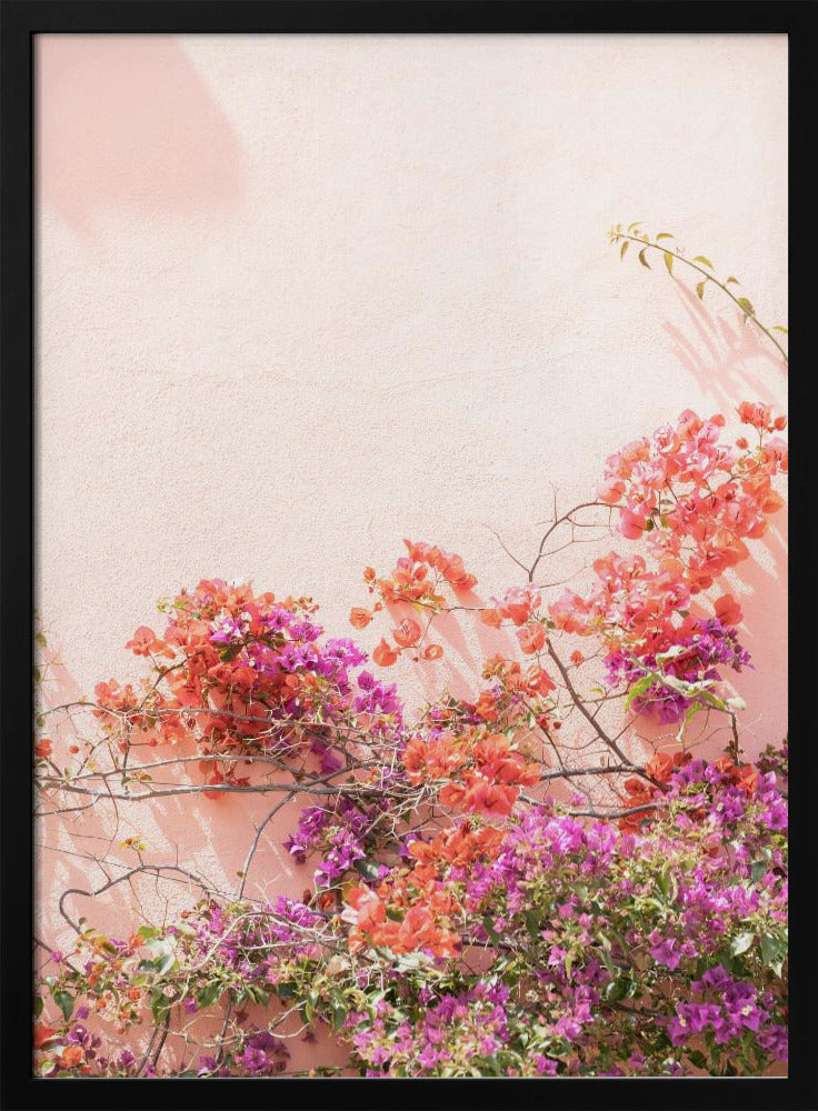 Pink Summer | Poster