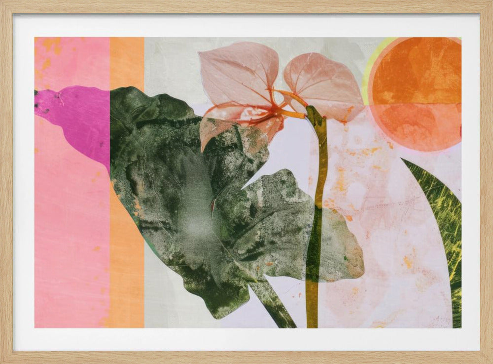 Tropischer Sonnenaufgang | Poster