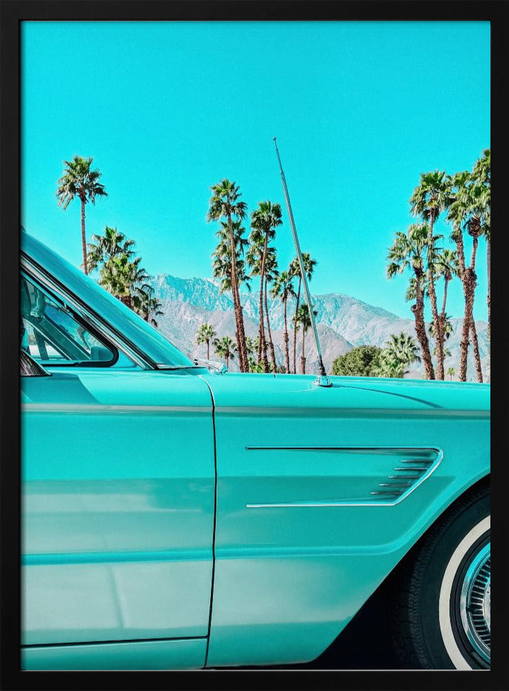 Blaugrüner Donnervogel in Palm Springs | Poster