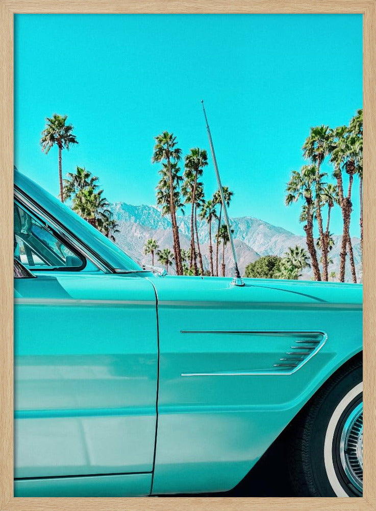 Blaugrüner Donnervogel in Palm Springs | Poster
