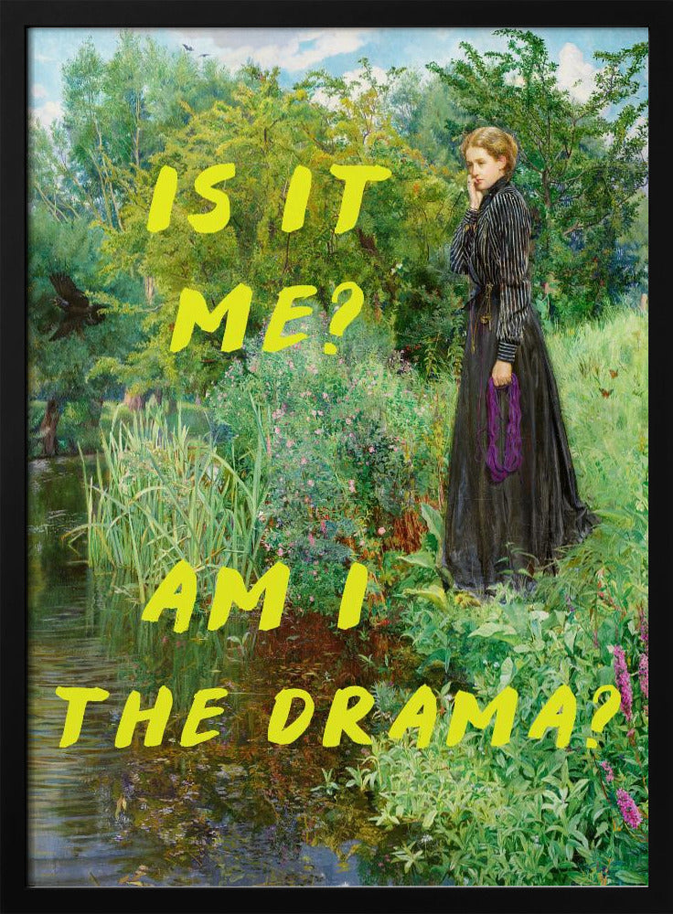Bin ich es? Bin ich das Drama? | Poster