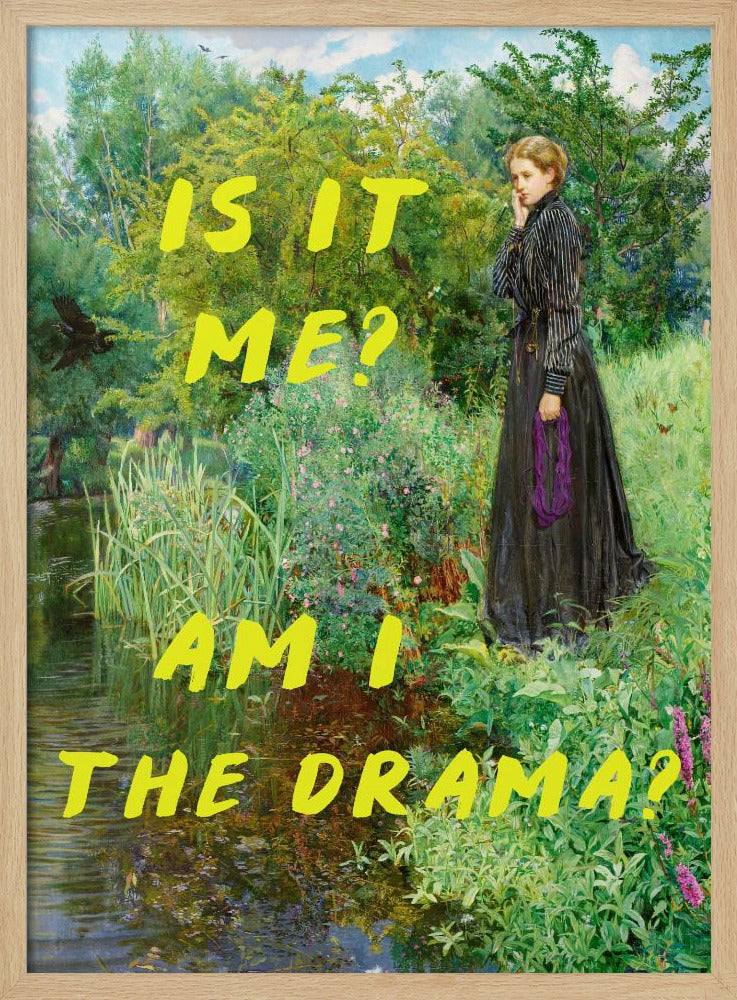 Bin ich es? Bin ich das Drama? | Poster